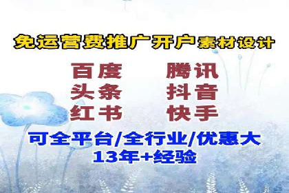 某电商平台的SEM策略与效果展示